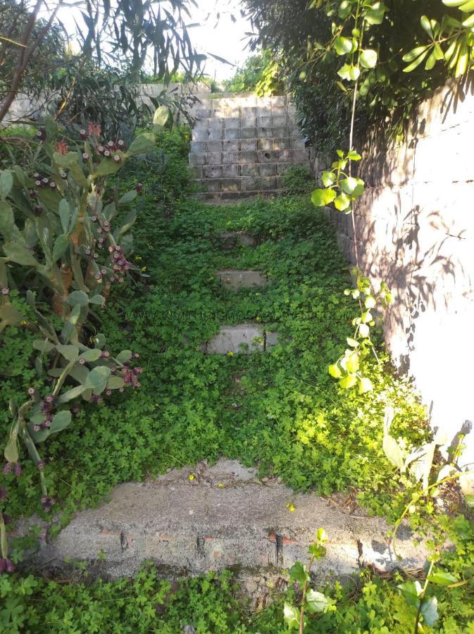 Appartamento Con Giardino 토레 데이 코르사리 외부 사진
